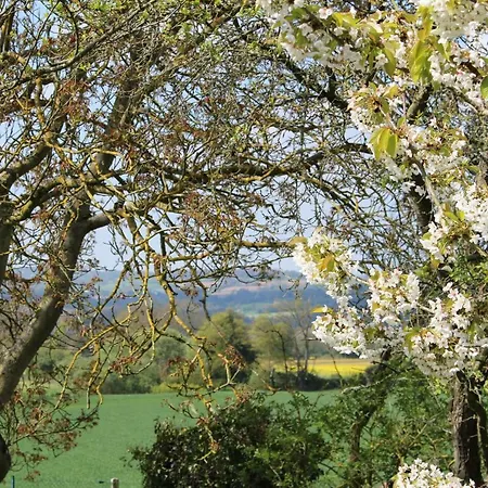 Le Petit Rabot * Putanges-le-Lac